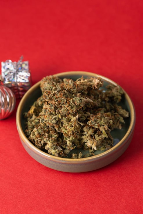 Harvested and dried medical cannabis flowers