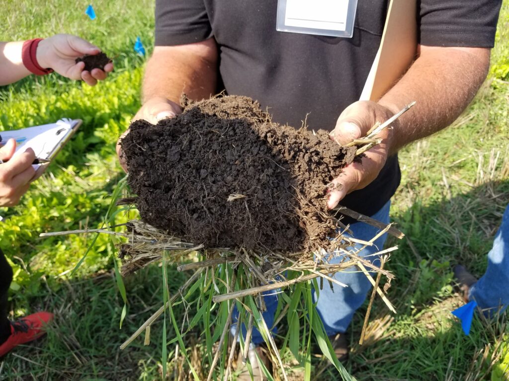 Scientist collecting soil data near a cannabis plant